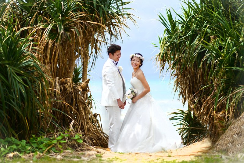 ロケ撮＆サイネージフォトプラン