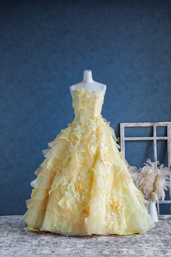 ドレスコレクション22