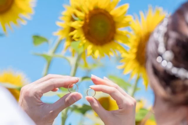 撮影レポート No.25 メイン画像